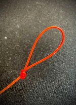 IMG_2885.jpeg