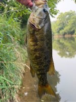 IMG_0519.jpeg