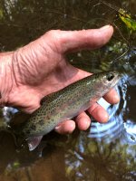 IMG_2193.JPEG