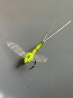 IMG_5284.jpeg