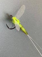 IMG_5285.jpeg