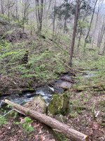 IMG_2495.jpeg