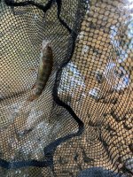 IMG_1174.jpeg