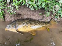 IMG_0551.jpeg