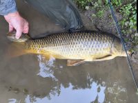 IMG_0572.jpeg