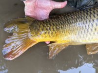 IMG_0571.jpeg