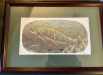 IMG_7865.jpeg