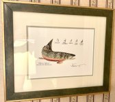 IMG_7859.jpeg