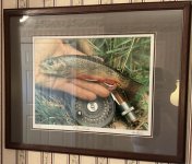IMG_7858.jpeg
