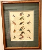 IMG_7848.jpeg
