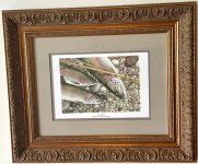 IMG_7862.jpeg