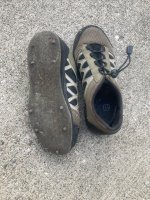 IMG_6468.jpeg