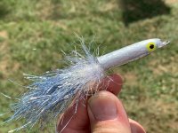 IMG_2894.jpeg