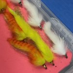 IMG_0858.jpeg