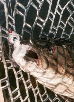 IMG_8819.jpeg