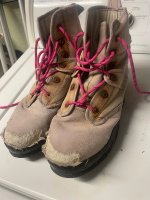 IMG_7229.jpeg