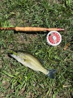 IMG_4630.jpeg