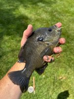 IMG_4640.jpeg