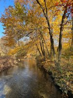 IMG_0381.jpeg