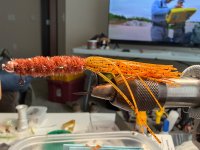 IMG_0986.jpeg