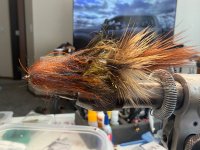 IMG_1008.jpeg