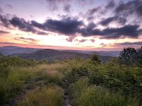 IMG_7855.jpeg