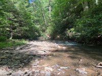 IMG_7766.jpeg