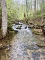 IMG_7176.jpeg