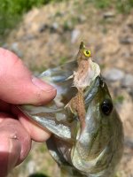 IMG_5192.jpeg