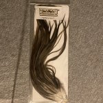 IMG_2504.jpeg