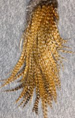 IMG_2512.jpeg