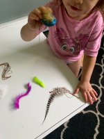 IMG_0570.jpeg