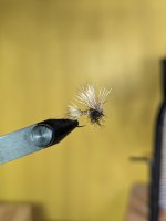PXL_20260806_021006520.jpg
