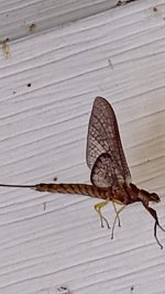 IMG_20250818_144625368.jpg