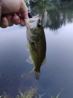 IMG_20260808_202148309.jpg
