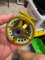 IMG_2408.jpeg