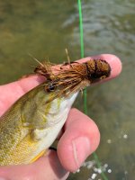 IMG_2546.jpeg