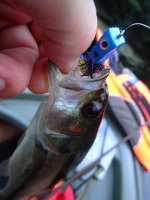 IMG_1324.jpeg