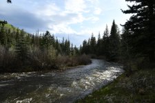 DSC_8462.JPG