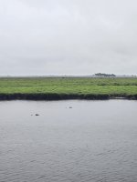 20250224_152137.jpg