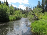 IMG_1290.JPG