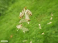 DSCF7385.JPG