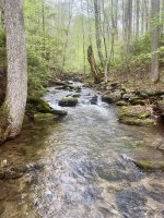 IMG_7176.JPEG