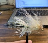 IMG_5739.jpeg