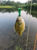 20260814_194713.jpg