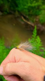 20260816_175516.jpg