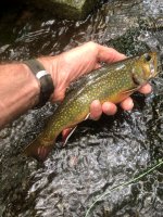 IMG_1432.JPEG