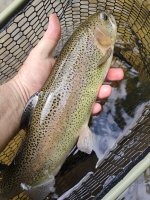 IMG_20260817_110930829.jpg