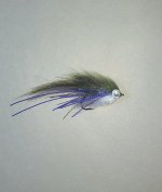 20260818_175505.jpg