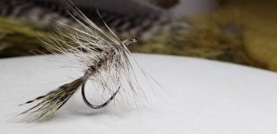 20190105_203347.jpeg